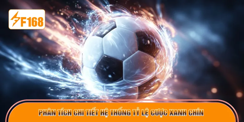 Phân tích chi tiết hệ thống tỷ lệ cược xanh chín 