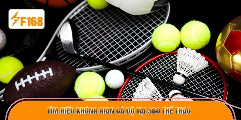 Tìm hiểu không gian cá độ tại SBO thể thao