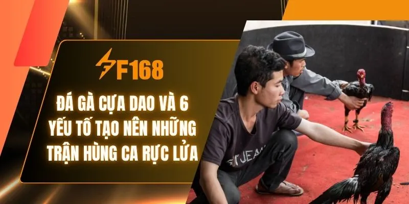 Đá Gà Cựa Dao Tại F168 - Những Trận Hùng Ca Rực Lửa